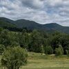 mountain_meadow